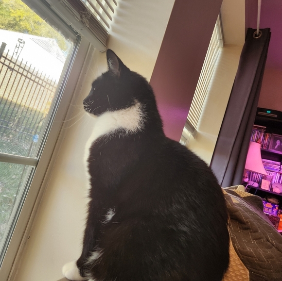 Come join me for a live show. 💜❤️. Come join the fun. - Picture 10 of 16